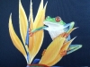 froginparadise